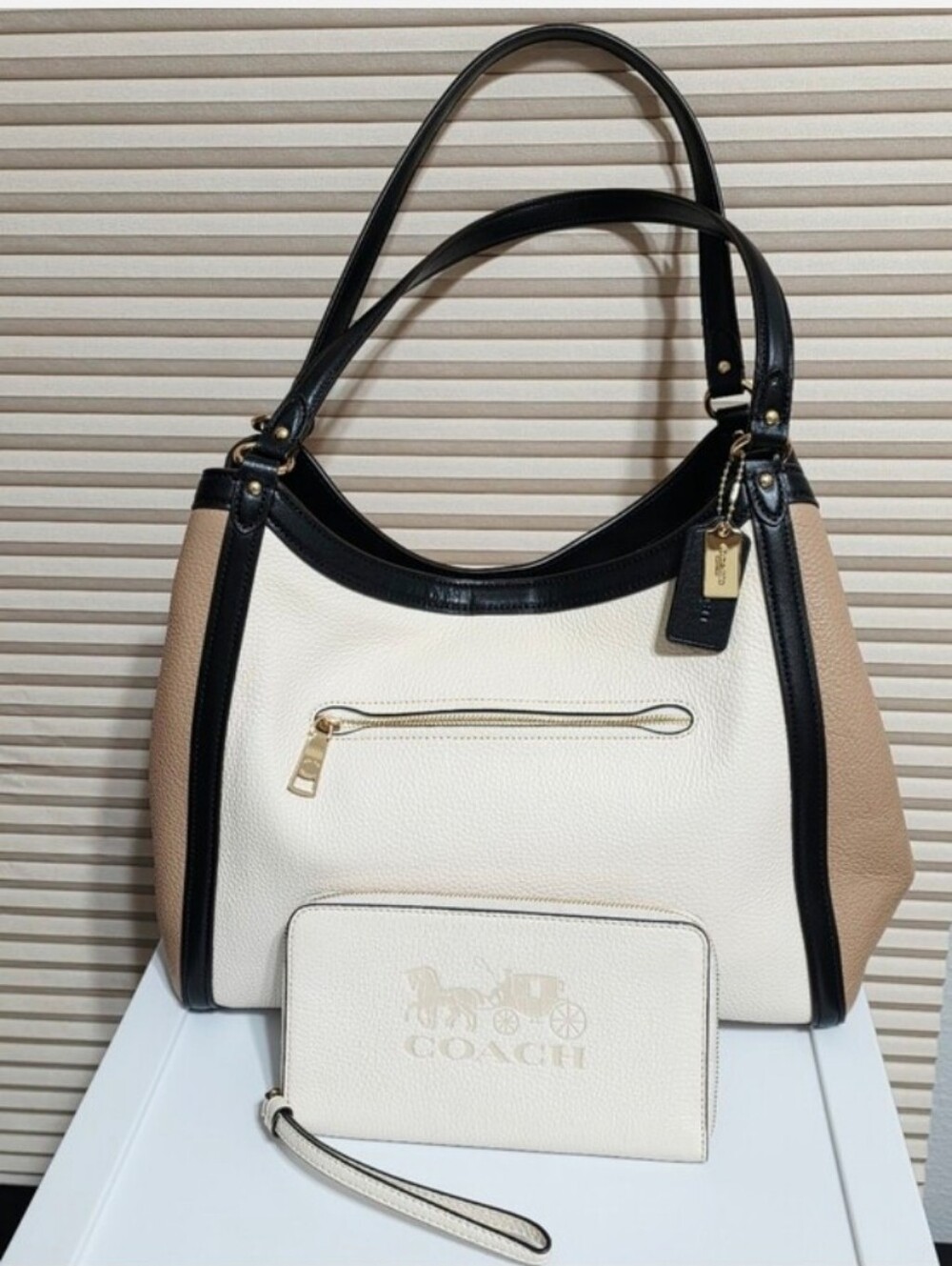 Coach Kristy Shoulder Bag Purse in Colorblock + Jes Chalk Large Wristlet Wallet.